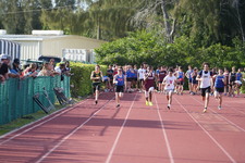 Enlarge photo 796