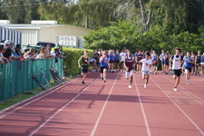 Enlarge photo 798