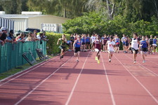 Enlarge photo 799