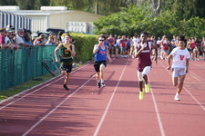 Enlarge photo 817