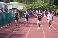 Enlarge photo 819