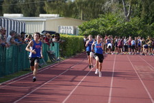 Enlarge photo 839