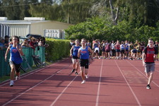 Enlarge photo 842