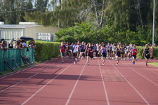 Enlarge photo 859
