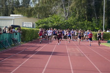 Enlarge photo 862