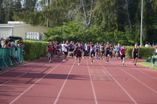 Enlarge photo 863