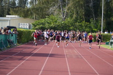 Enlarge photo 868