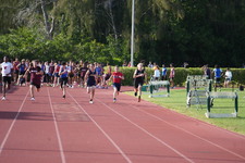 Enlarge photo 871