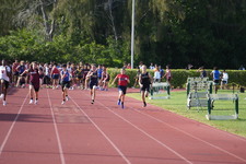 Enlarge photo 874