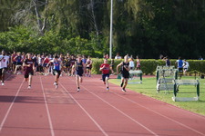 Enlarge photo 878