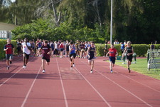 Enlarge photo 879