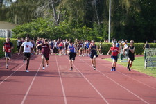 Enlarge photo 883