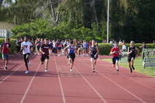Enlarge photo 886