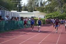 Enlarge photo 903