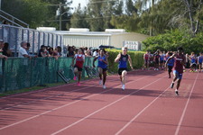 Enlarge photo 904