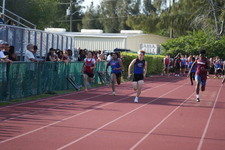 Enlarge photo 905