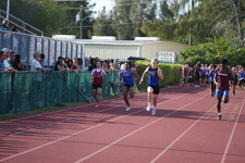 Enlarge photo 906