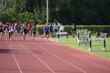 Enlarge photo 953
