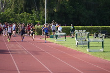 Enlarge photo 955