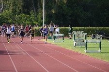 Enlarge photo 957