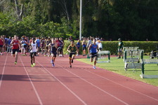 Enlarge photo 961