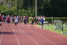 Enlarge photo 962