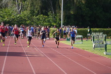 Enlarge photo 963