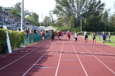 Enlarge photo 967