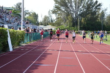 Enlarge photo 968