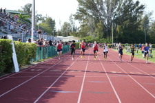 Enlarge photo 969