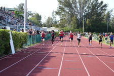 Enlarge photo 972
