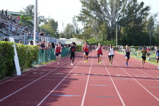 Enlarge photo 975