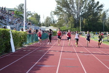 Enlarge photo 974