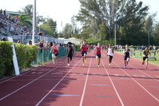 Enlarge photo 976