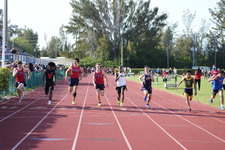 Enlarge photo 979