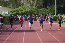 Enlarge photo 995