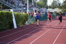 Enlarge photo 1055
