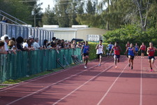 Enlarge photo 1126