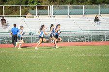 Enlarge photo 1328