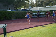 Enlarge photo 1426