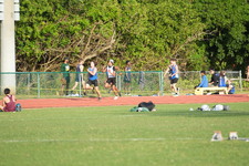 Enlarge photo 1483