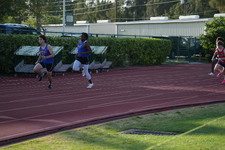 Enlarge photo 1526