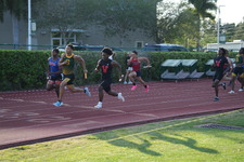 Enlarge photo 1541