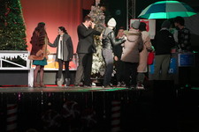 Enlarge photo 217