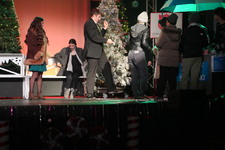 Enlarge photo 231