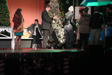 Enlarge photo 232