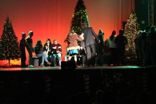 Enlarge photo 303