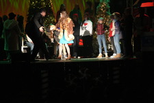 Enlarge photo 392