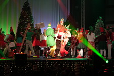 Enlarge photo 534