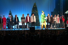 Enlarge photo 231